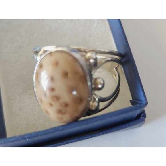 Ring Petrified Palmwood  Silver   Size 13 1/2  10 gr Stone 20 x 15 mm  Jerry Fra - Picture 14 of 14
